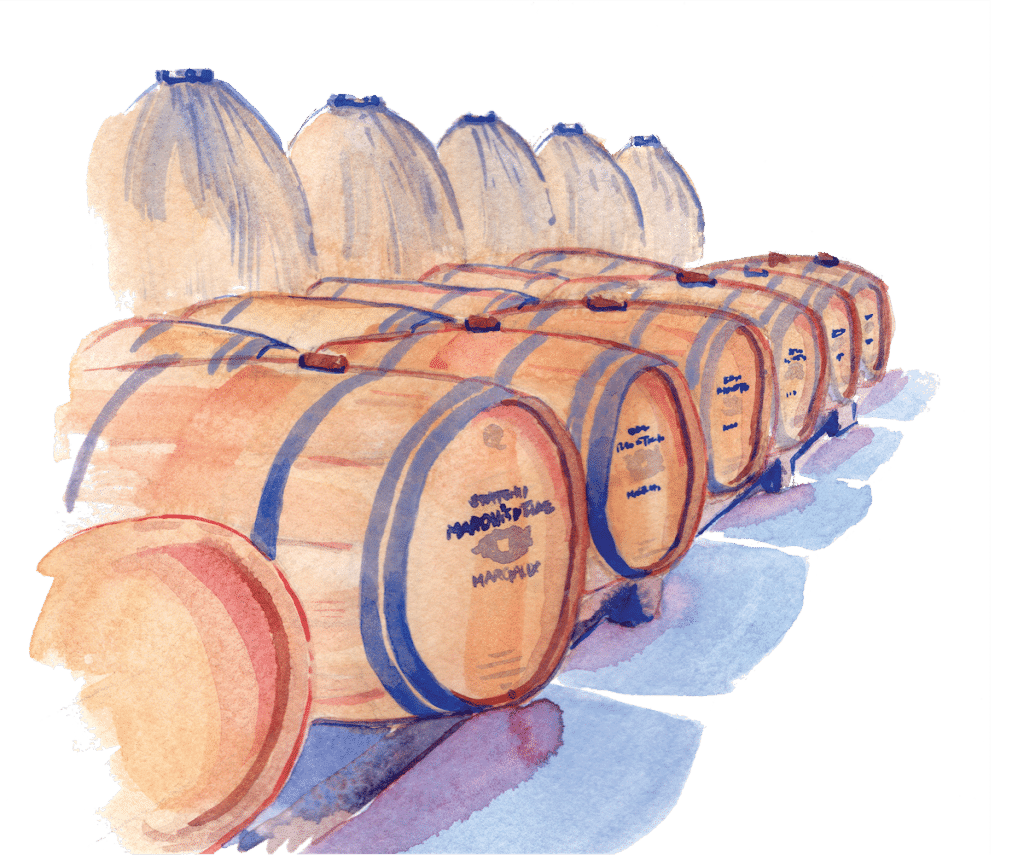 vins château Marquis de Terme