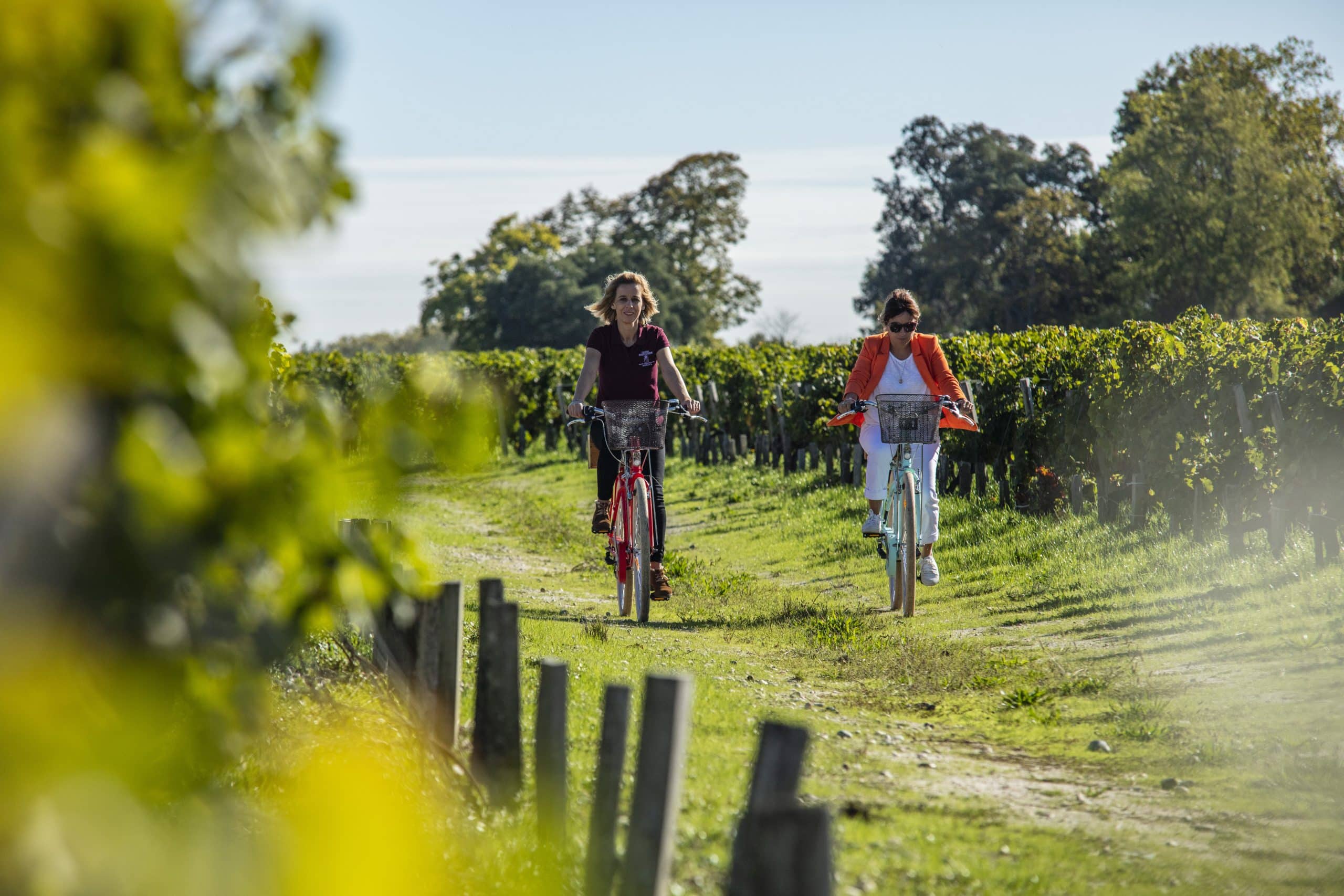 Balade ampélographique à vélo château Marquis de Terme